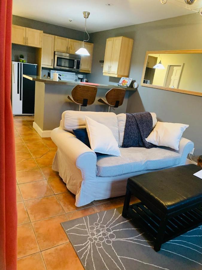 Condo Entier, Fully Equiped Pool And Spa Only In Summer مونت تريمبلانت المظهر الخارجي الصورة